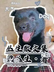 Collection of Essays