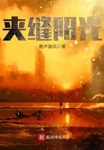 Sunshine between Cracks