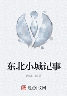 Chronicles of a Northeastern Town