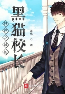 The Black Cat Principal of the City of Order