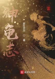 Divine Turtle Chronicles