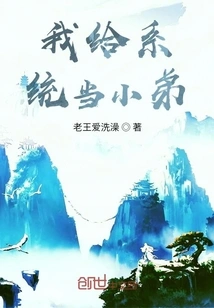 I'll Be the System's Little Brother