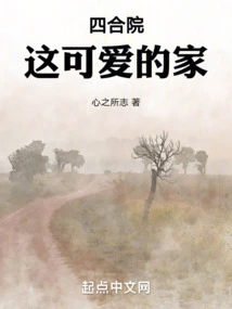 Siheyuan: This Lovely Home