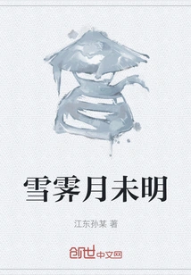 It's Snowing and the Moon is Not Bright Yet