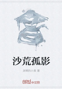 A Lonely Shadow in the Desert