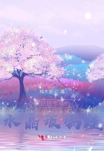 Cinderella's Exclusive Crystal Glass Slippers