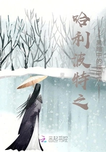 Harry Potter: Mission Impossible in Darkness