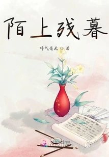 Remaining Twilight on the Street