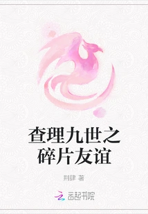 Charles Ix: Fragments of Friendship