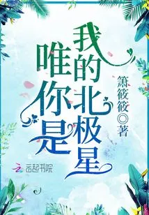 Only You Are My North Star