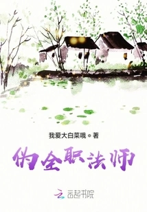 Pseudo Full-time Mage