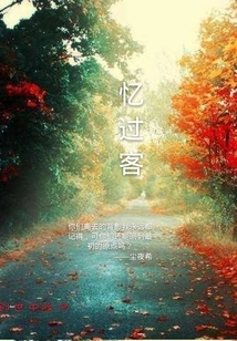 Reminiscing About Passers-by