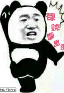 Gou! Thief! Where to Run