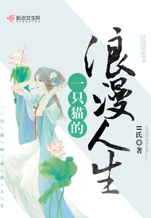 A Cat's Romantic Life