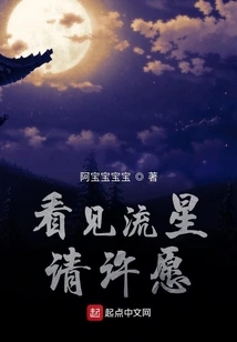 Make a Wish When You See a Shooting Star