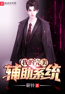 My Perfect Assistance System