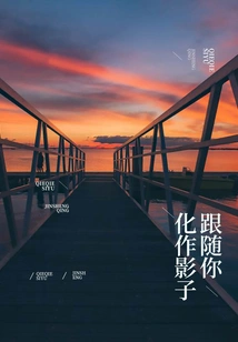 Turn into a Shadow and Follow You