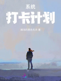 System Punch-in Plan