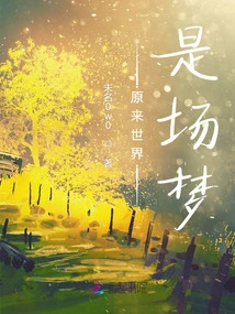 It Turns Out the World is a Dream