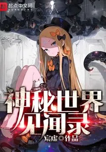 Mysterious World Experience Record