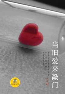 Good Chinese Novel: When Old Love Knocks on the Door