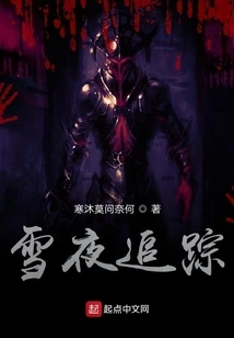 Snowy Night Tracking