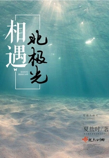 Encounter the Northern Lights