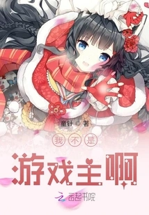 I'm Not a Game Owner