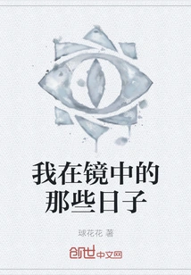 The Days I Was in the Mirror