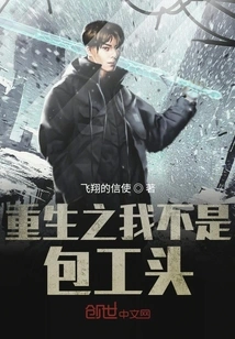 Rebirth: I Am Not a Contractor