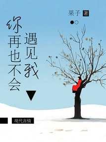 You Will Never Meet Me Again