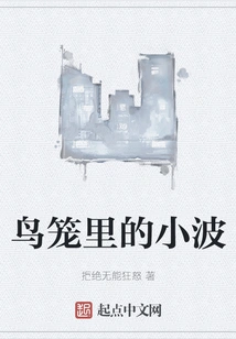 Wavelet in the Birdcage