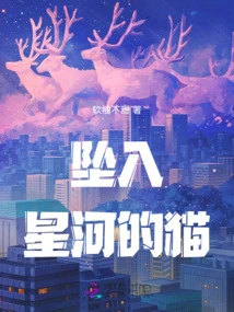 Cat That Fell into the Stars