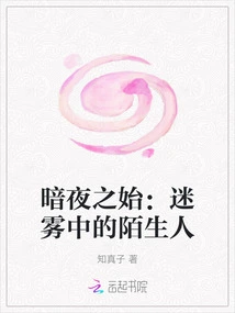 The Beginning of Dark Night: Stranger in the Mist