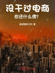 If You Have Never Worked in E-commerce, What Debts Do You Owe?