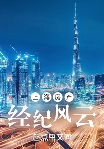 Shanghai Real Estate Agency Situation