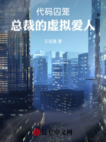 Code Cage: the President's Virtual Lover