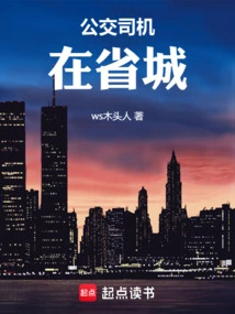 Bus Driver in Provincial Capital