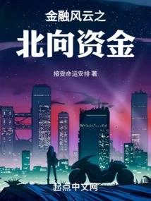 Northbound Funds in the Financial Crisis