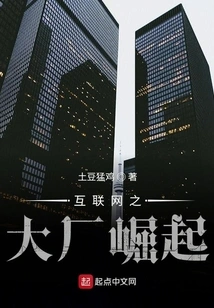 The Rise of Internet Giants