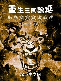 Reborn in the Three Kingdoms, Wei Yan Was Tricked to Death by Liu Bei When He Opened His Eyes