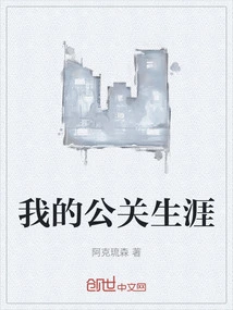 My Public Relations Career