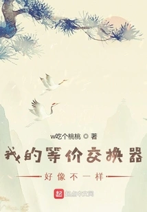 My Equivalent Exchanger Seems to Be Different