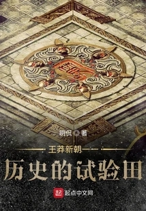 Wang Mang's New Dynasty - the Experimental Field of History
