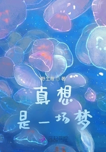 Really Wish it Was a Dream