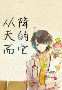 It Fell from the Sky