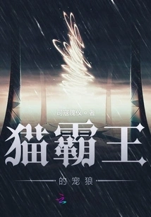 Cat Overlord's Pet Wolf