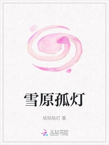 Lone Lamp in the Snow Field