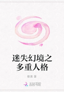 Lost in the Illusion of Multiple Personalities