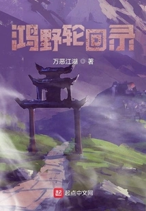 Hongye Reincarnation Record